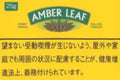 黄琥珀