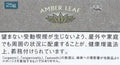 灰琥珀